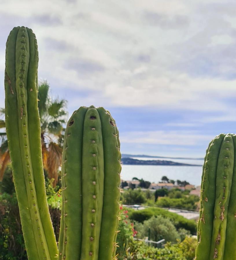 Magnifique Appartement Vue Mer - Grande Terrasse Et Piscine Bandol Exteriör bild