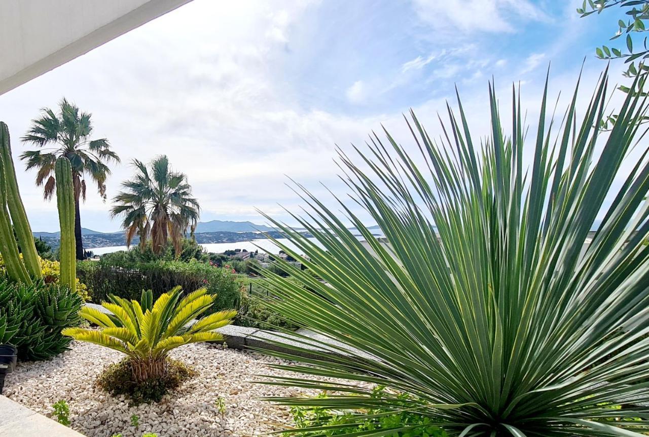 Magnifique Appartement Vue Mer - Grande Terrasse Et Piscine Bandol Exteriör bild